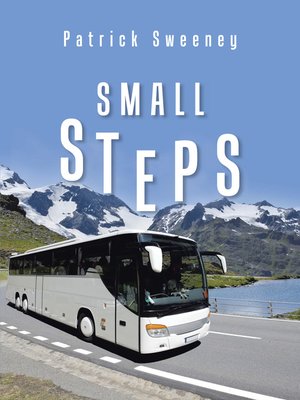 cover image of Small Steps